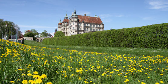 Frühling im Schlossgarten Güstrow © 2010 Staatliche Schlösser und Gärten MV Frühling im Schlossgarten Güstrow © 2010 Staatliche Schlösser und Gärten MV