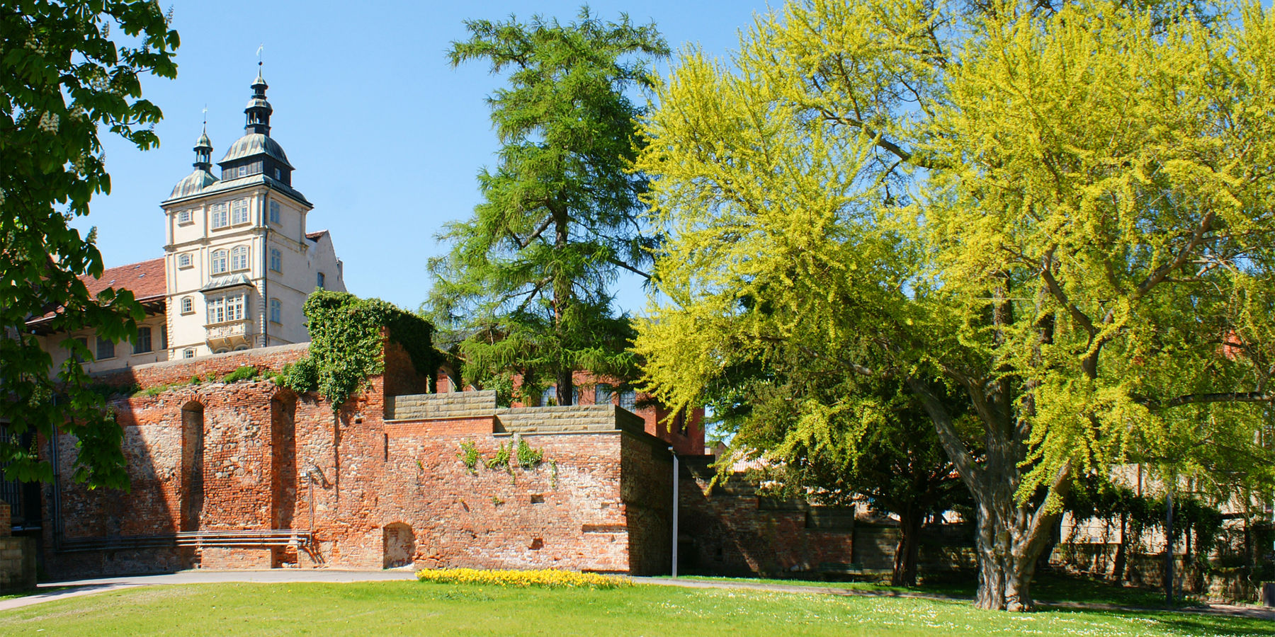 Einst prägte der stattliche Ginkgo den landschaftlichen Teil des Schlossgartens. Dem Sturm am 11. Juni 2016 fiel der Ginkgo zum Opfer. © 2016 Betrieb für Bau und Liegenschaften Mecklenburg-Vorpommern
