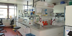 Blick in ein Labor. © 2020 Staatliches Bau- und Liegenschaftsamt Greifswald