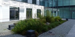 Blick in den begrünten Innenhof © 2020 Staatliches Bau- und Liegenschaftsamt Greifswald