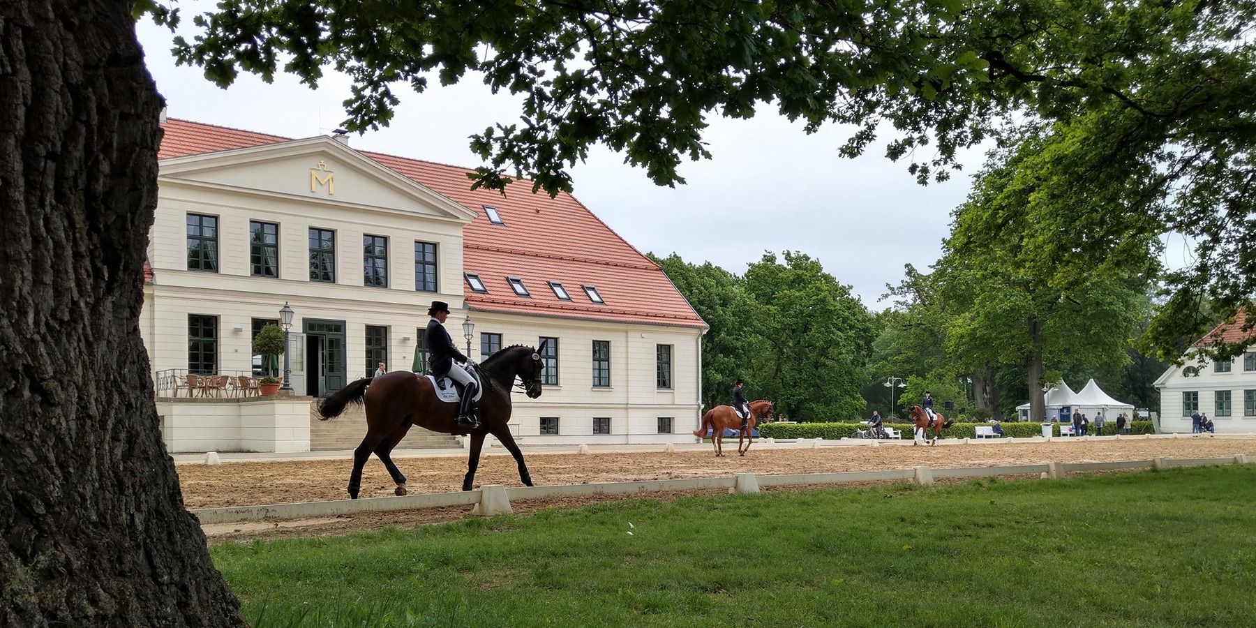 Auf dem Rücken der Pferde liegt das Glück dieser Erde - hier zum Beispiel im Landgestüt Redefin. © 2020 Staatliches Bau- und Liegenschaftsamt Schwerin