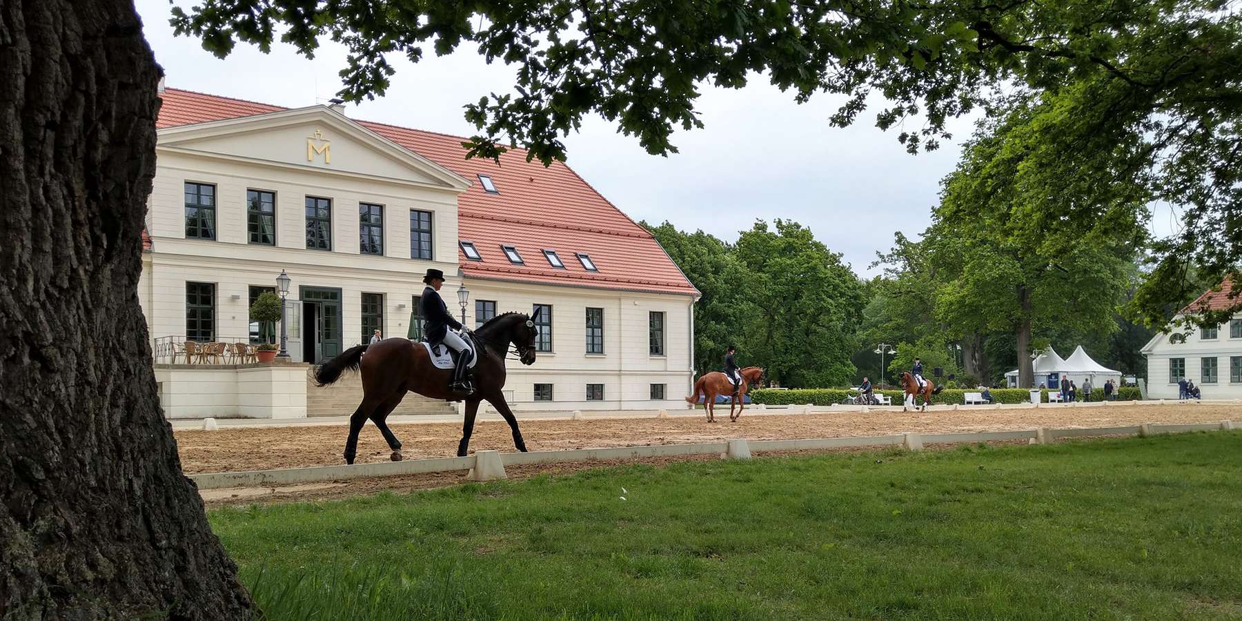Auf dem Rücken der Pferde liegt das Glück dieser Erde - hier zum Beispiel im Landgestüt Redefin. © 2021 SBL Schwerin