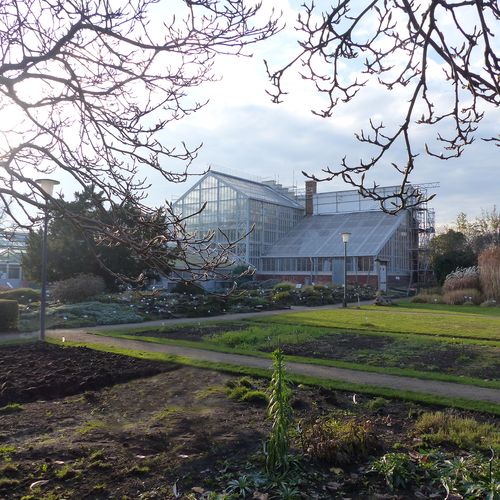 Botanischer Garten Greifswald Bluhende Agaven Im