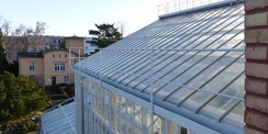 Blick vom Dach auf die historische  sanierte Stahlkonstruktion der Gewächshausanlage © 2021 SBL Greifswald