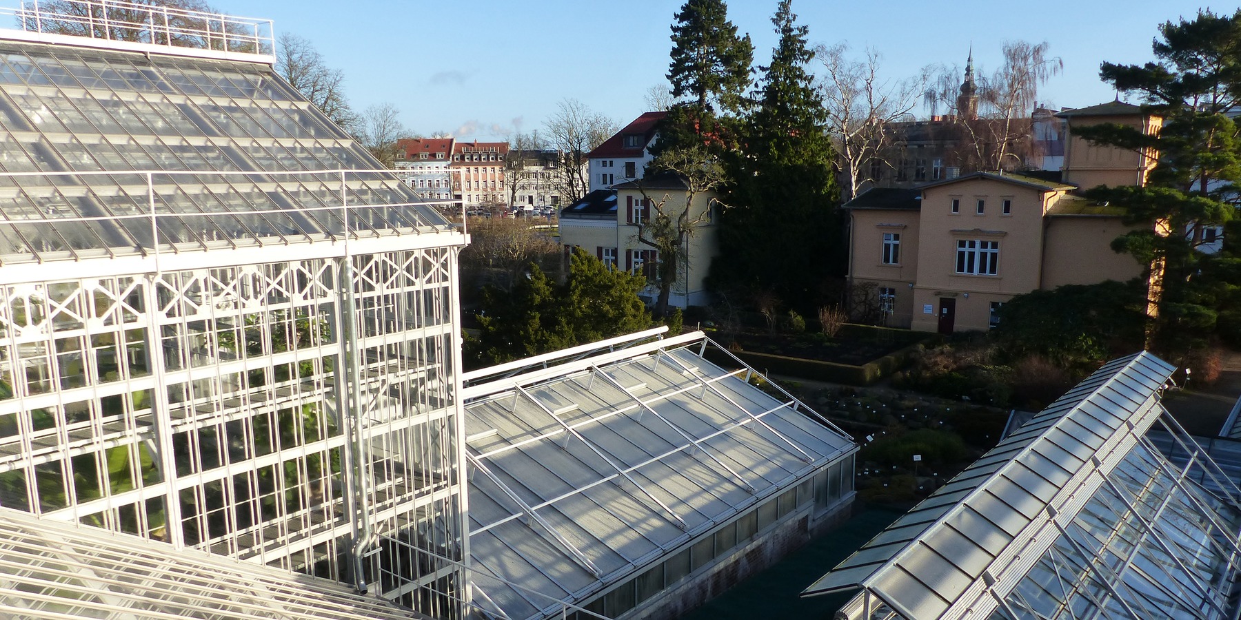 Blick vom Dach auf die sanierten Gewächshäuser © 2021 SBL Greifswald