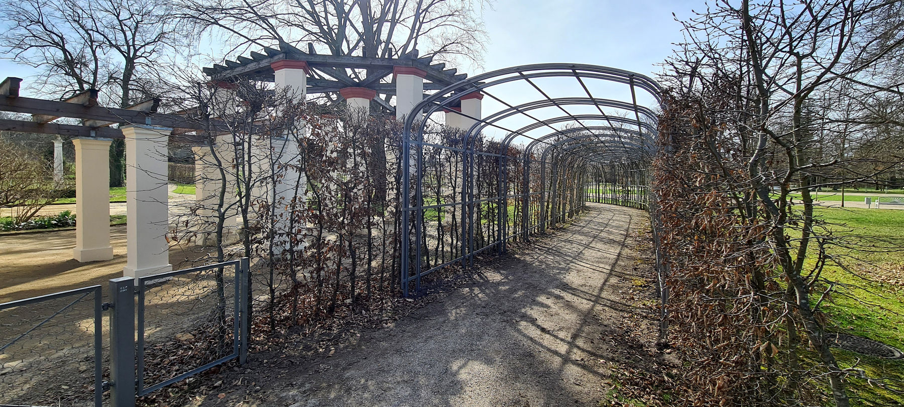 Über den wieder errichteten Laubengang gelangt man in den Schlossgarten. © 2024 SBL Neubrandenburg