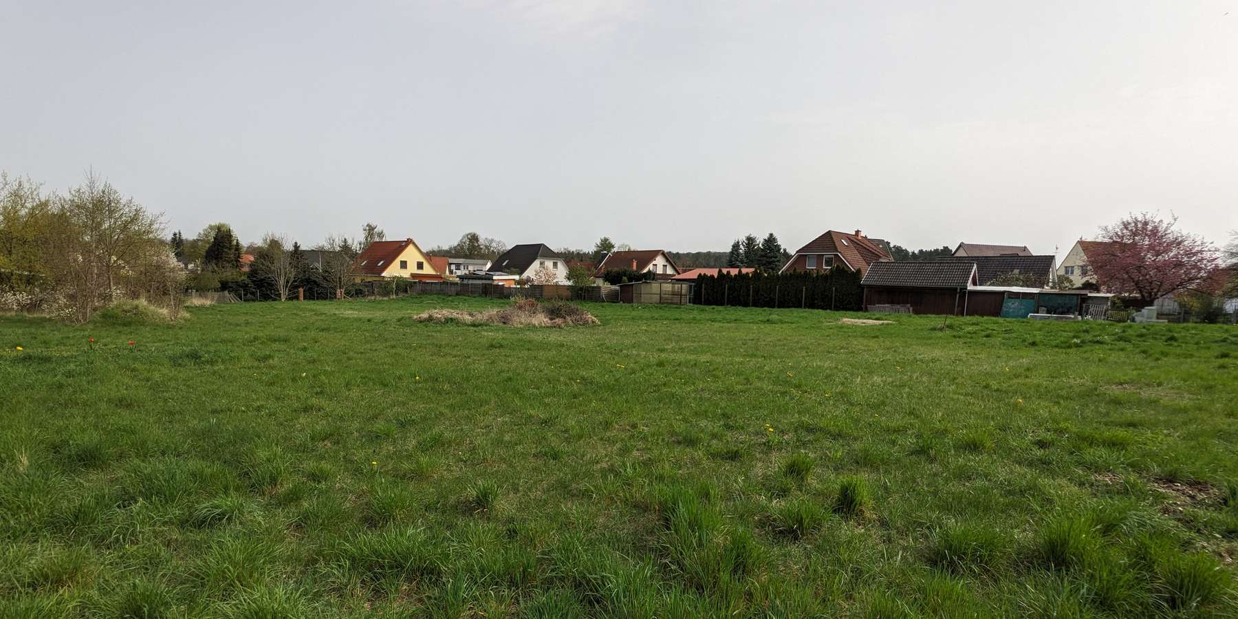 Blick auf die Fläche © 2024 sbl-mv / Finanzministerium MV