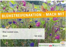 Blühstreifenaktion - mach mit.jpg