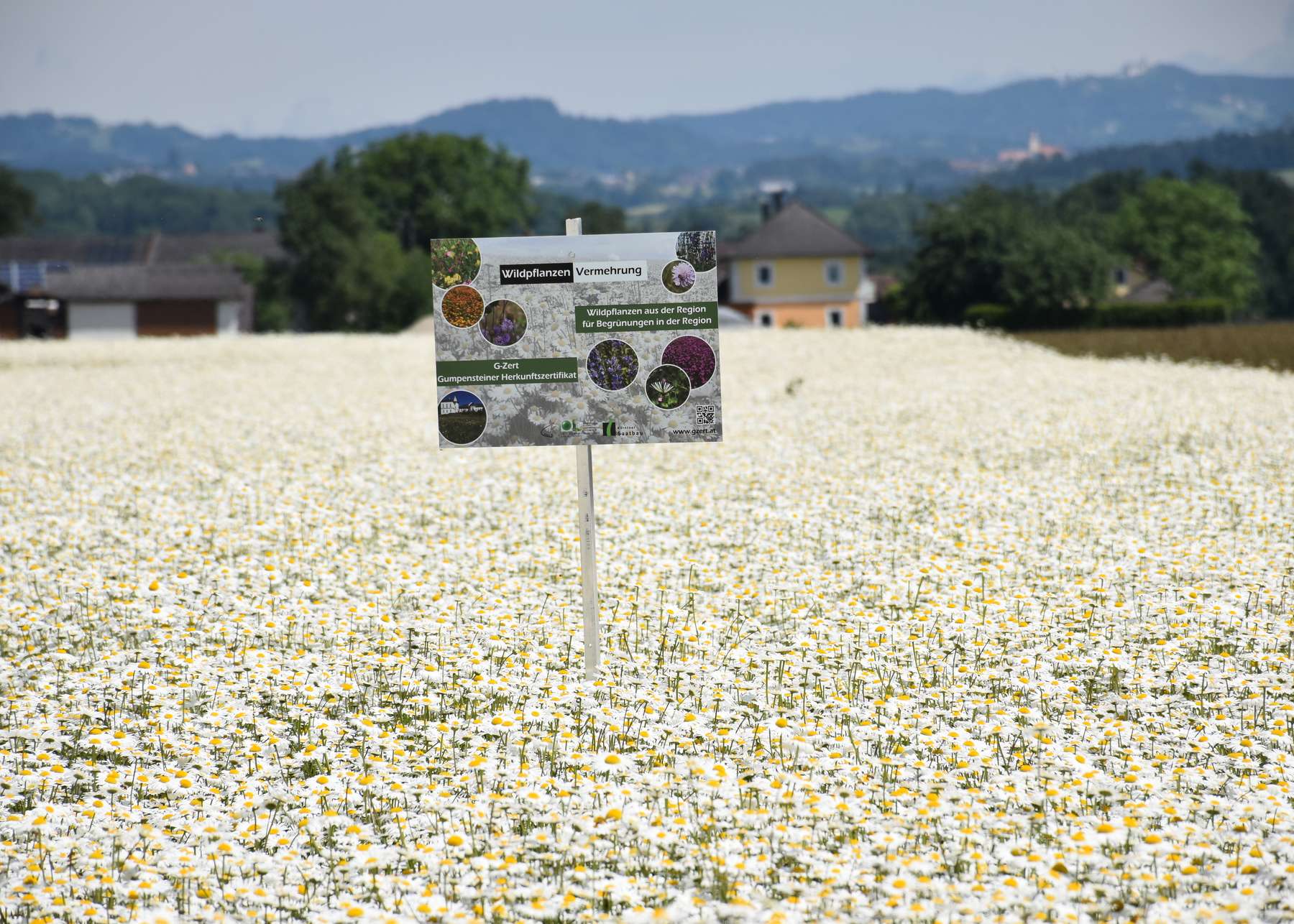 G-zert Wildpflanzenvermehrung  © Bienenzentrum OÖ