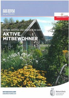 Aktive Mitbewohner.jpg
