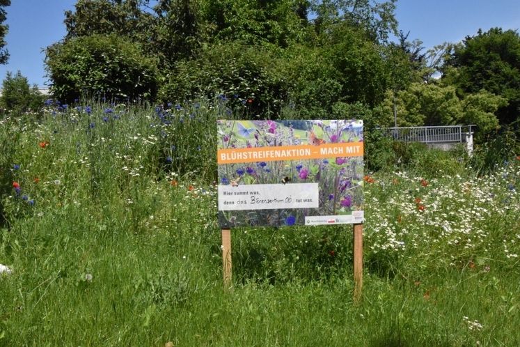 Hier summt was den das Bienenzentrum OÖ tut was Maschienenring OÖ.jpg