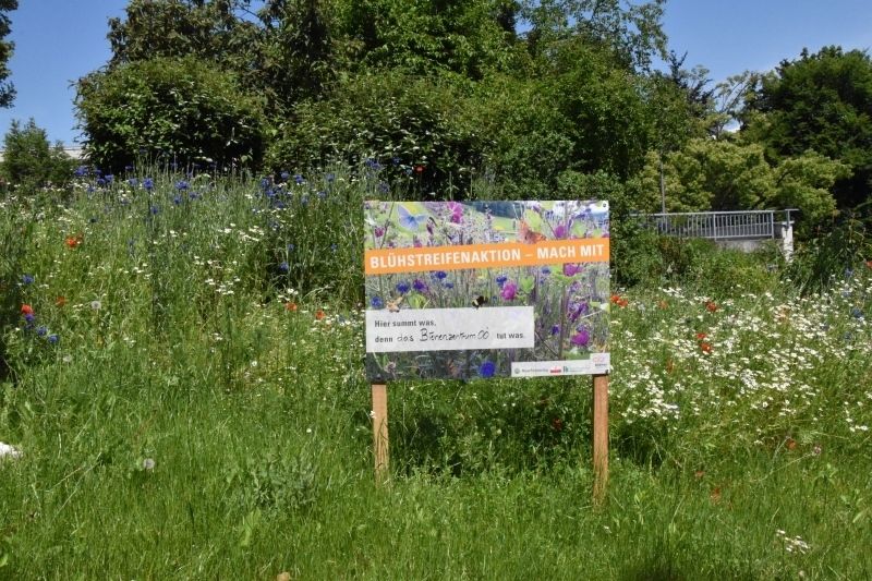 Hier summt was den das Bienenzentrum OÖ tut was Maschienenring OÖ.jpg