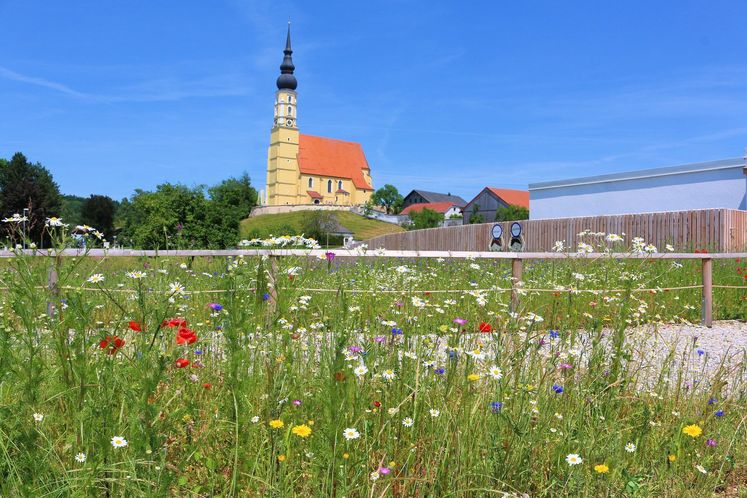 Sonnenweg-Kindergarten für die Marktgemeinde Eggelsberg.jpg