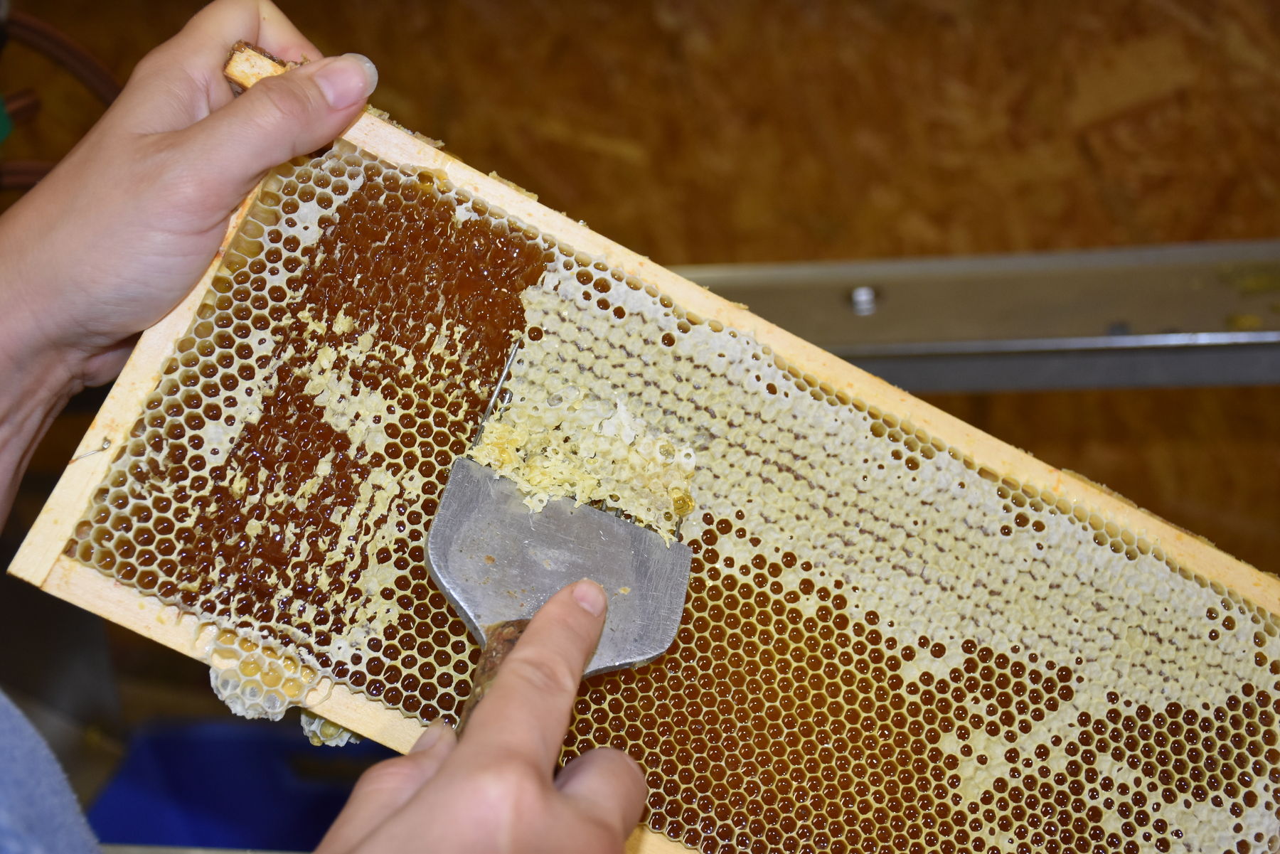 Am 30. Juni 2025 einigte sich die EU mit der Ukraine auf eine Freihandelszone mit 35.000 Tonnen zollfreiem Honig jährlich.