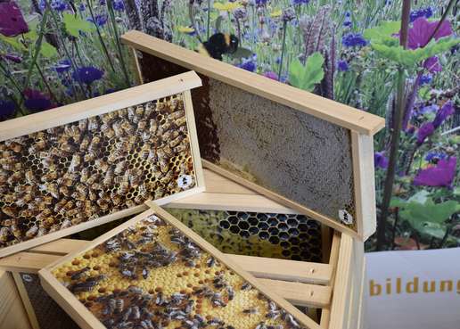 Bilderbeute Foobeute (13).jpg