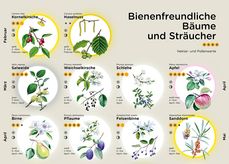 Poster Bienenfreundliche Bäume und Sträucher.jpg