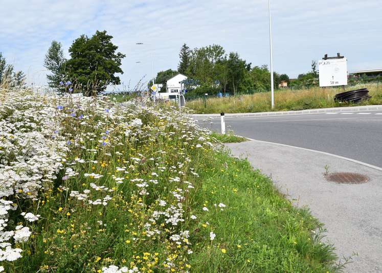 Kreisverkehr Straßham.jpg