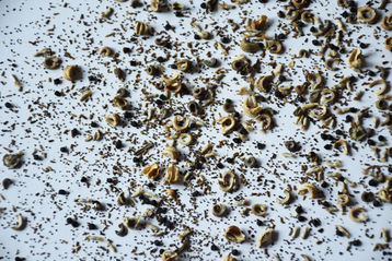 Saatgutmischung © Bienenzentrum OÖ