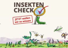 Insektencheck.jpg