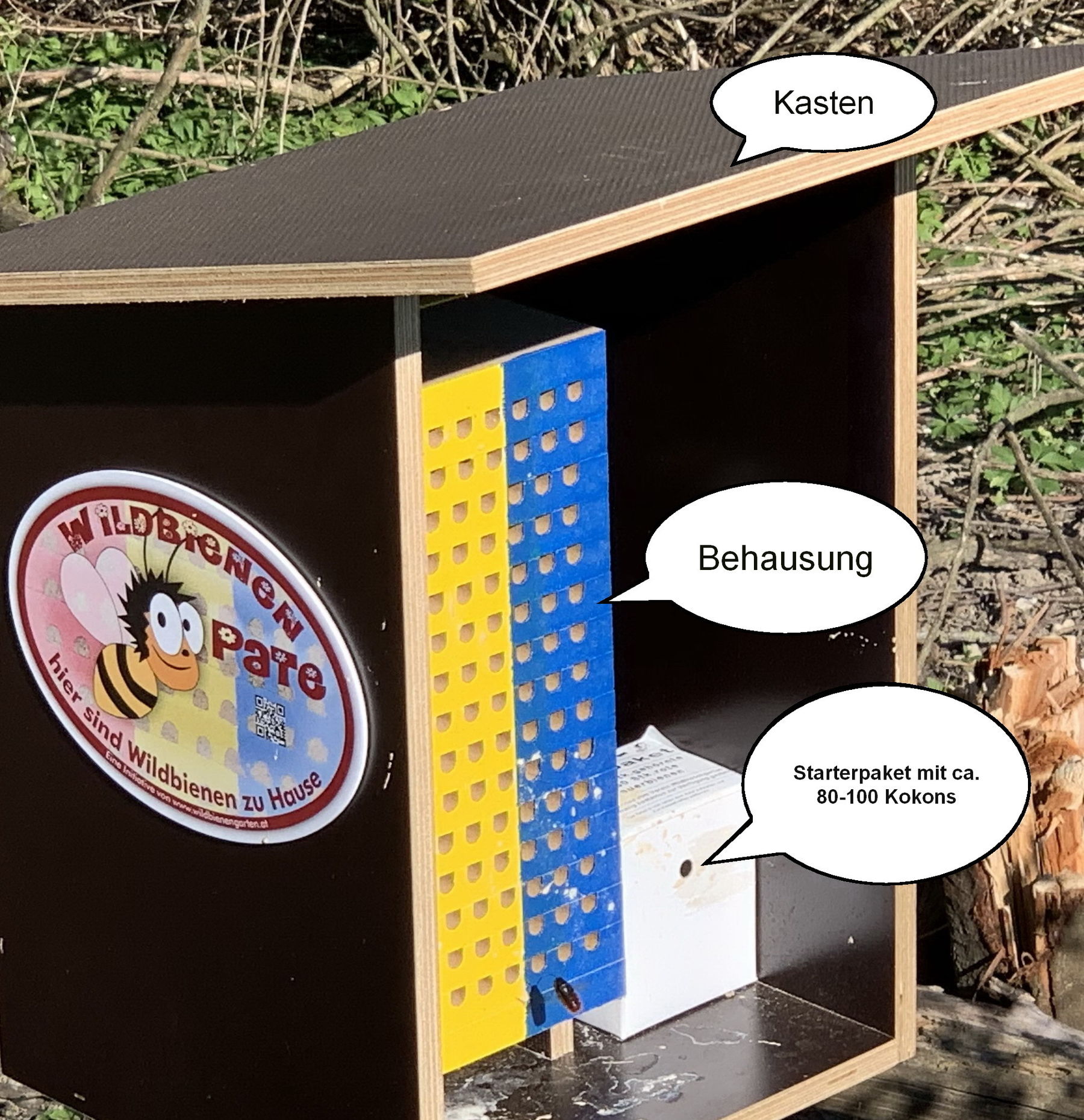 Wildbienen Informationen.jpg