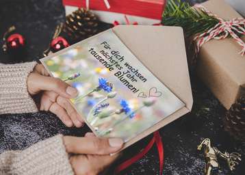 Bienenweide zu Weihnachten.jpg