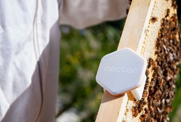 Sensor zur Geräuschanalyse.jpg