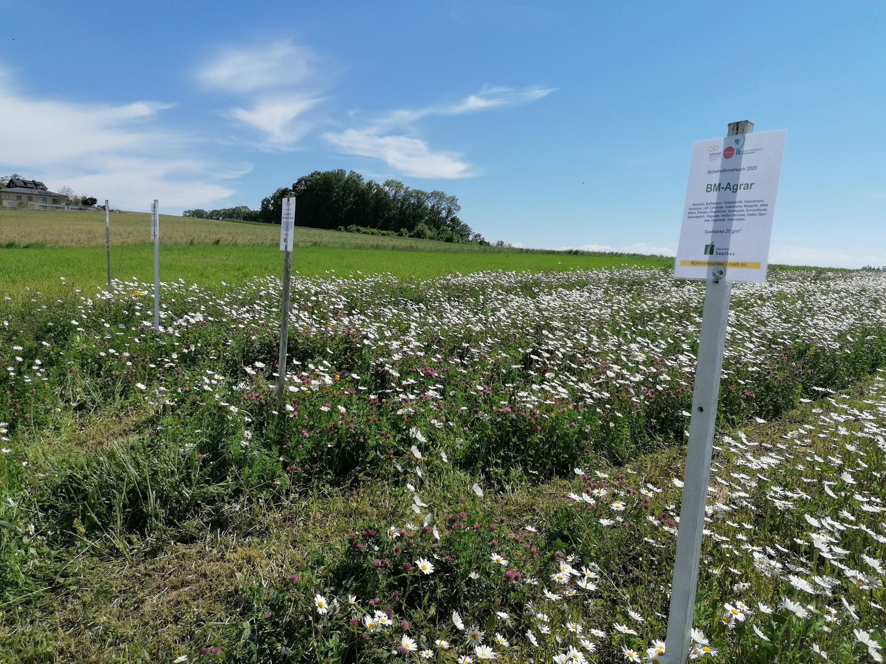 Besichtung Schauversuch Aufnahme 01.06.2021.jpg