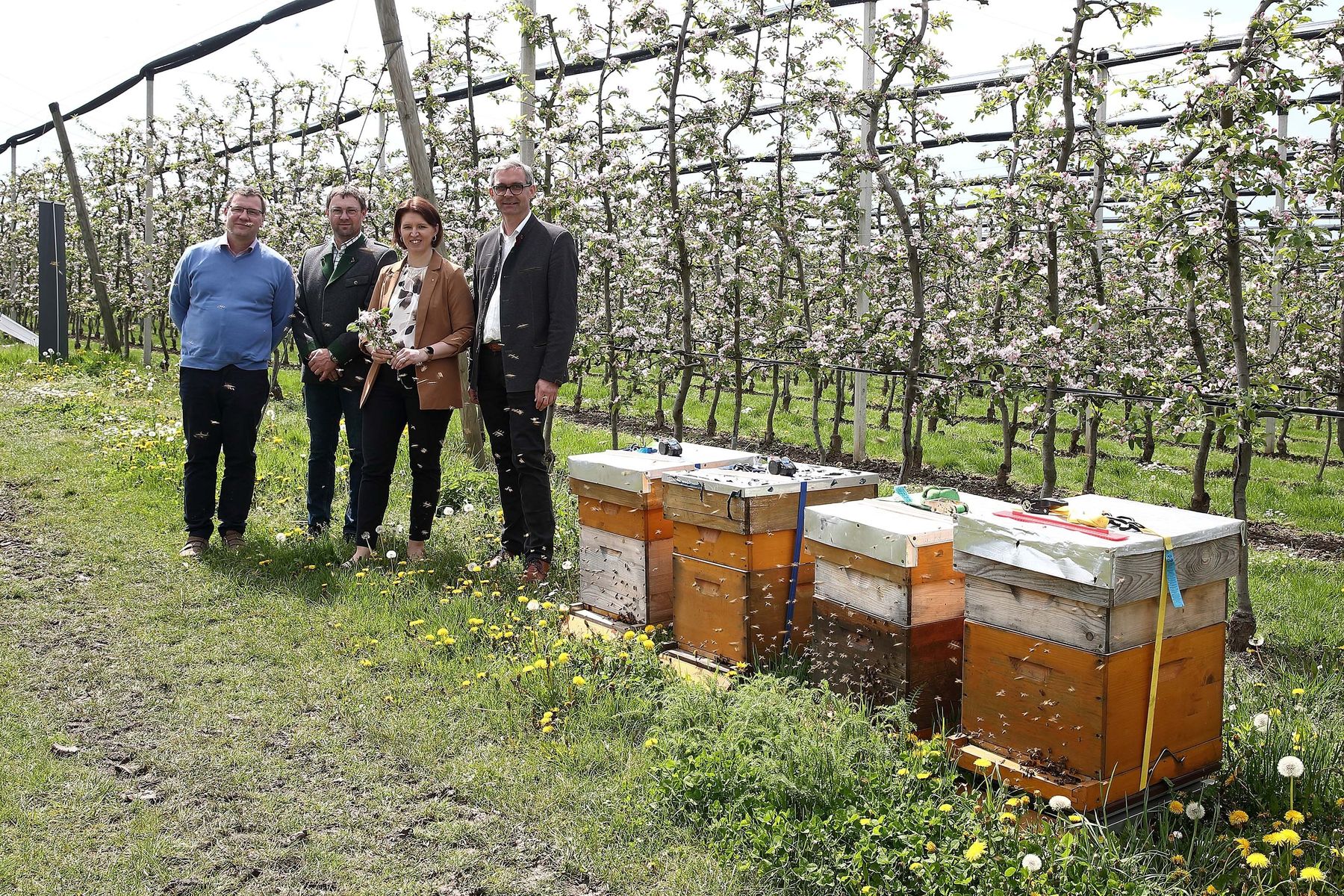 .l.: Andreas Platzer (Imkerschule Südtirol), Franz Allerstorfer (Oö. Obstbauern), Agrar-Landesrätin Michaela Langer-Weninger und LK-OÖ-Präsident Franz Waldenberger..jpg