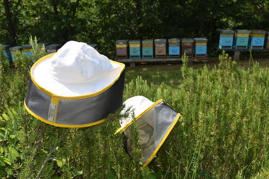 Tag 2 Erwerbsimkerei Manghi.jpg