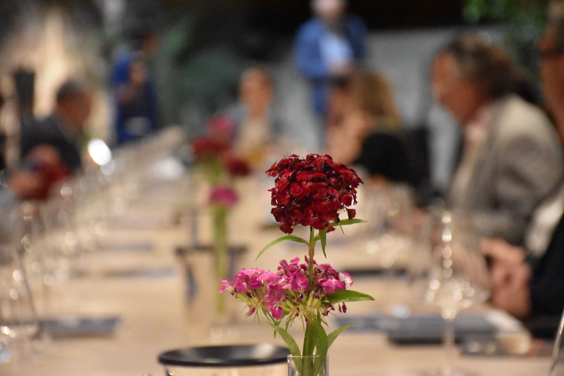 Tag 3 Felsenkeller.jpg