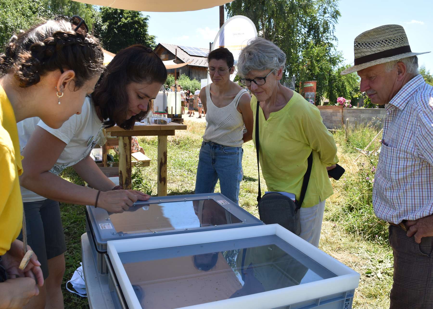 Insekten-Fang nach dem Keschern..jpg