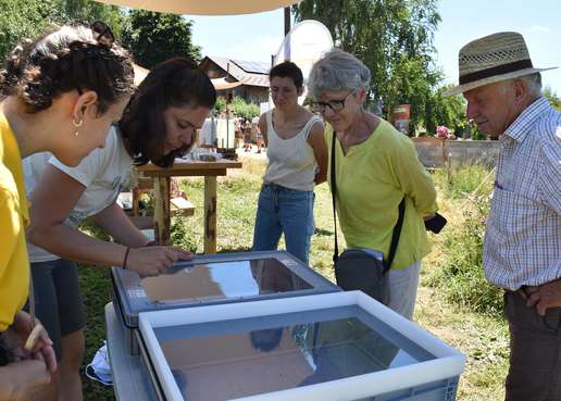 Insekten-Fang nach dem Keschern..jpg