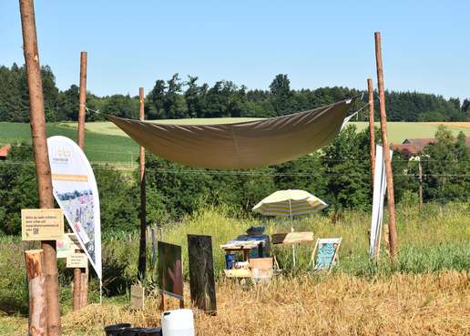 Stand des Bienenzentrums OÖ neben den herrlichen Blühflächen..jpg
