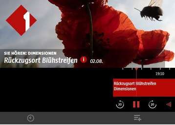 Ö1 Beitrag zum Blühstreifen.jpg