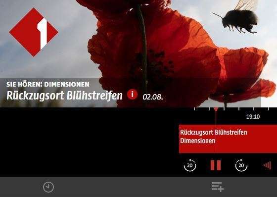 Ö1 Beitrag zum Blühstreifen.jpg