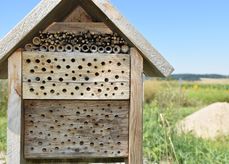 Das fertige Wildbienenhotel..jpg