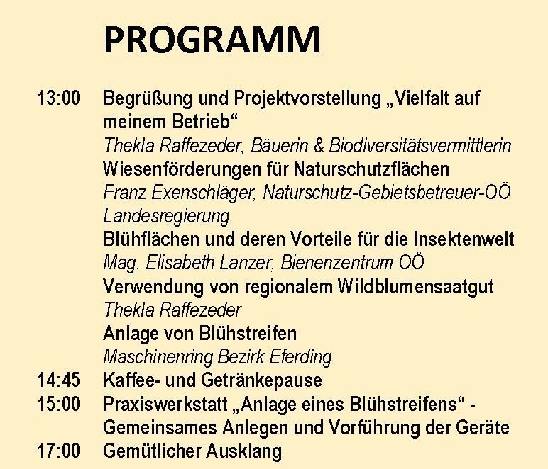 Programm.jpg