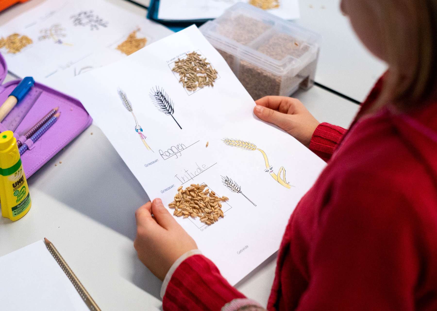 Lehrmaterialien in action.jpg