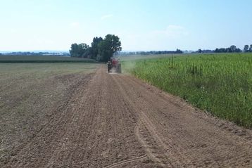 Blühstreifenansaat in Pasching, Spätsommeranlage 27.08.2019.jpg