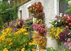 Die OÖ Garten- Trophy startet wieder .jpg