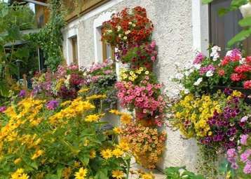 Die OÖ Garten- Trophy startet wieder .jpg