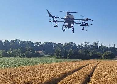 Drohnensaat in die Gerste .jpg