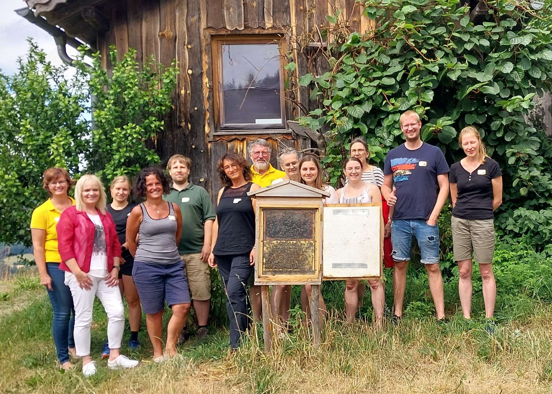 Blick in den Schaubienenstock .jpg