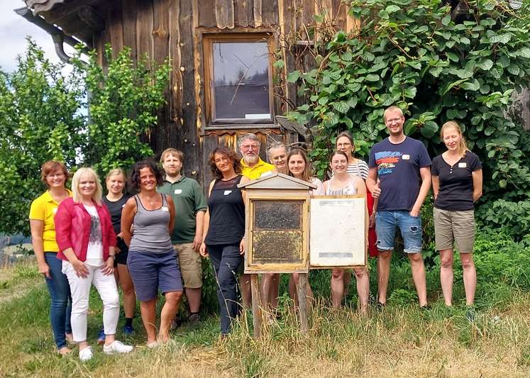 Blick in den Schaubienenstock .jpg