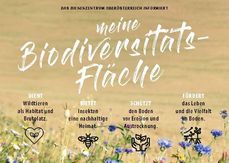 Diese Biodiversitätstafel zeigt die Wichtigkeit von Blühflächen.jpg