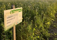 Ein Gemeinschaftsversuch von Bienenzentrum OÖ, BWSB, Maschinenring OÖ und Österreichischem Erwerbsimkerbund .jpg