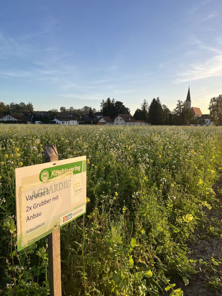 Feldbegehung © Archiv