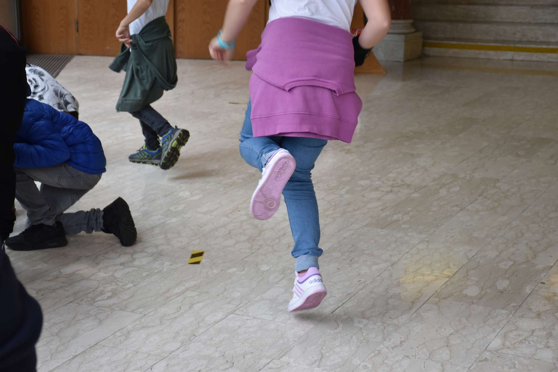 Hüpfend wird Nektar gesammelt.jpg