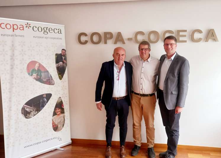 Ricardo Babini, Ivan Hennion, Torsten Ellmann .jpg