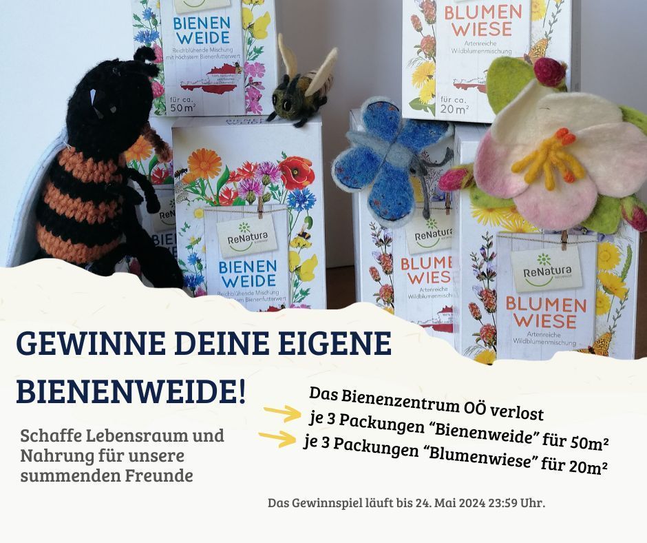 Gewinne deine eigene Bienenweide! .jpg